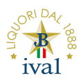 Logo Ival PNG